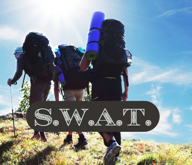 🩵 What Is the SWAT Team?