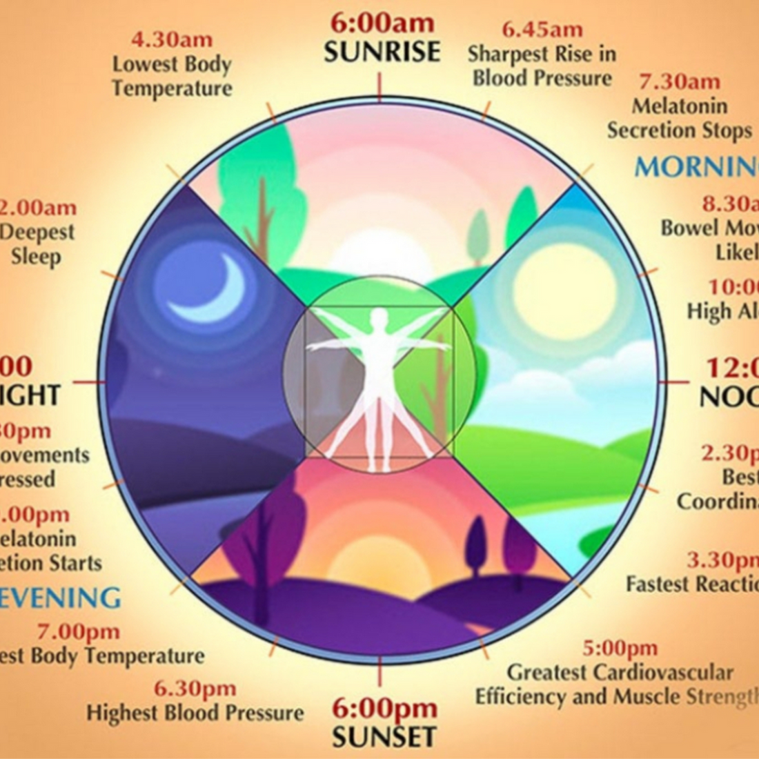 Unlocking the Benefits of Time-Restricted Eating