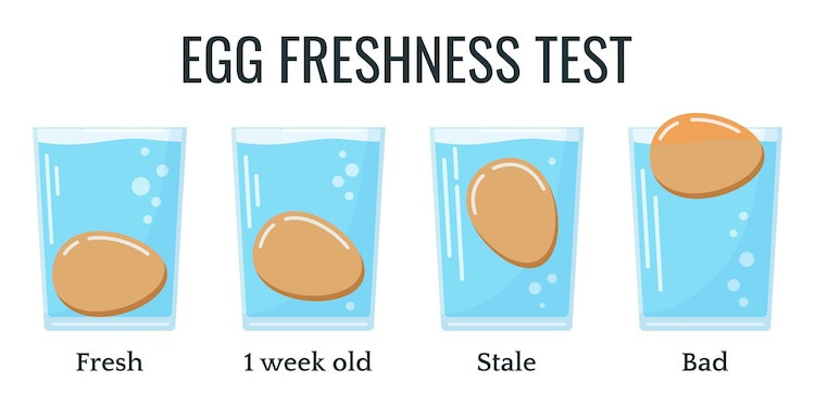 EGGS are an important part of a healthy diet